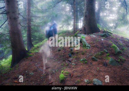 Men going through old foggy forest Stock Photo