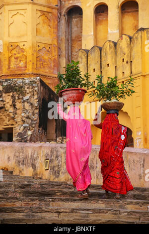 Local women carrying pots with plants on their heads at Amber Fort, Rajasthan, India. Amber Fort is the main tourist attraction in the Jaipur area. Stock Photo