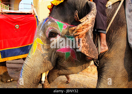 Portrait of painted elephant walking up to Amber Fort near Jaipur, Rajasthan, India. Elephant rides are popular tourist attraction in Amber Fort. Stock Photo