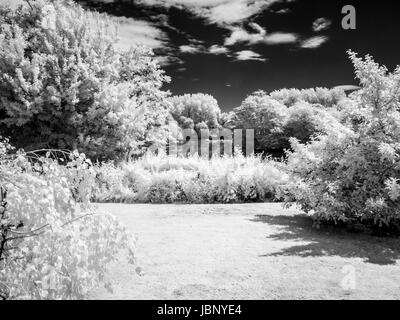 An infrared monochrome image of a garden and small lake in summer.