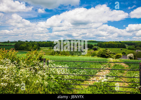 Rolling Cotswold countryside on a sunny day in late spring. Stock Photo