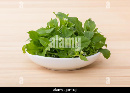 White porcelain bowl with chickweed Stock Photo