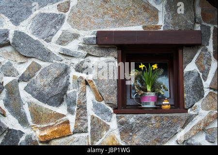 Flowerpot with blooming daffodils on windowsill in small window recessed into a slate granite stone wall of building Stock Photo