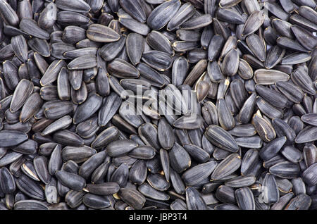 Sunflower seeds for backgrounds or textures Stock Photo