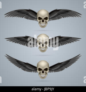 Three evil looking ivory coloured two-winged skulls. Stock Photo