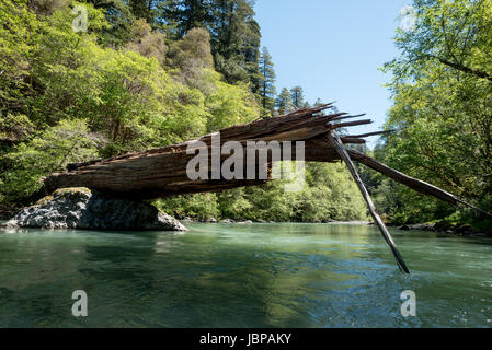 Fallen redwood tree balanced on a boulder in Redwood Creek, Redwood National Park, California. Stock Photo