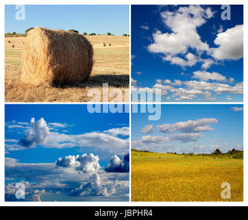 Collage of photos with wheat field and agricultural engineers Stock ...