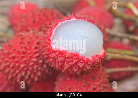 wild fruit from forest, wild lychee or Nephelium hypoleucum Stock Photo