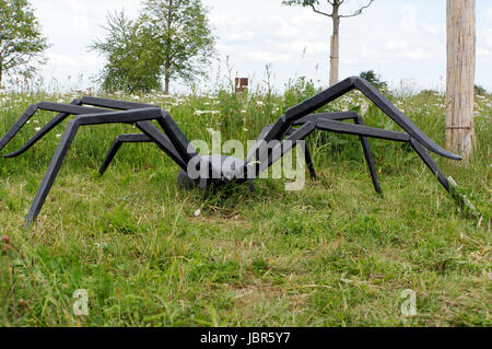 Spinnen Im Garten - Spinne Im Heimischen Garten Foto Bild Tiere