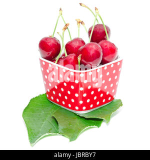 Summer dessert ripe cherry wet with drops berries in red spotted square bowl on fresh leaves Stock Photo