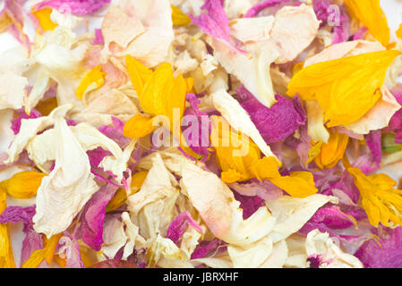 multicolored dried flower petals potpourri on white background Stock Photo