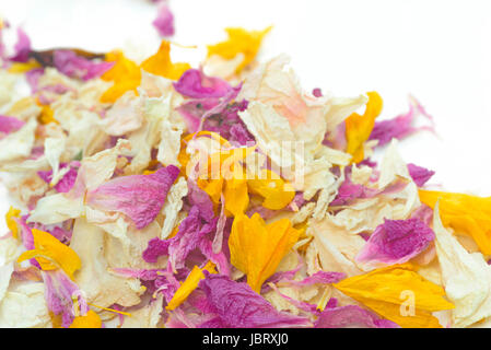 multicolored dried flower petals potpourri on white background Stock Photo
