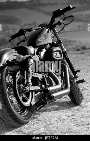 white harley davidson 48