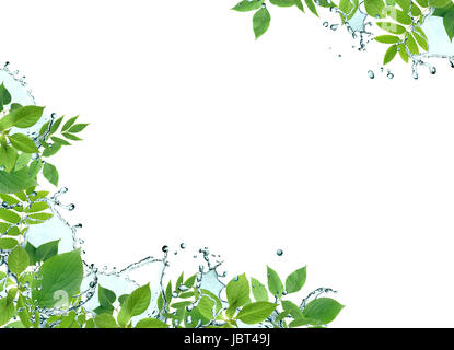 Ecology concept. Border made from green leaves and splashing water Stock Photo