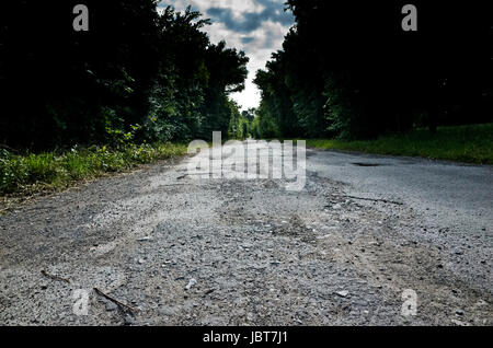 empty damaged road flanked by trees Stock Photo
