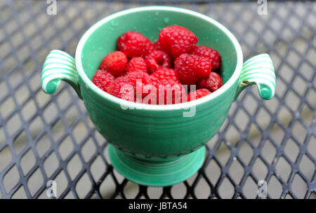 Just picked berries of raspberry in ancient cup lost in garden in the rain Stock Photo