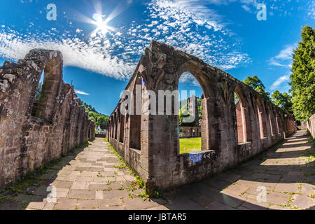 Ruins of Hirsau Monastery in Black Forest, Germany also known as Monastery of St Peter and Paul Stock Photo