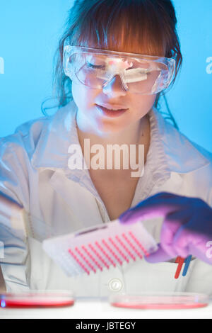 Focused life science professional pipetting human serum media containing HIV infected cells from petri dish to microtiter plate. High protection degree work. Stock Photo