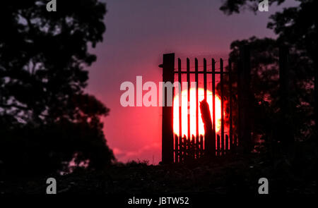 Sun goes down behind the silhouette of a gate, Pantanal, Brazil Stock Photo