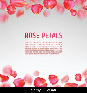 Rose petals border Stock Vector
