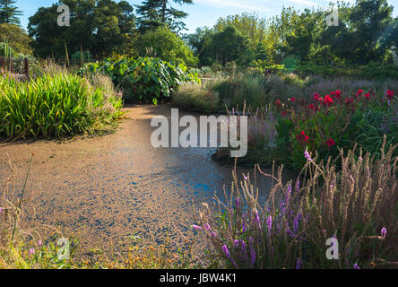 Guilfoyle’s Volcano In The Royal Botanic Gardens In Melbourne Stock 