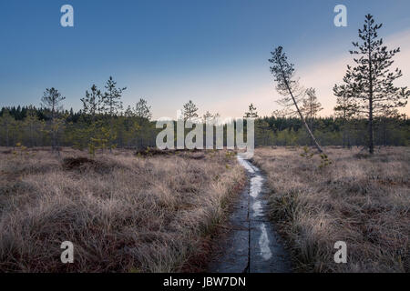 Landscape with sunset at evening in swamp Finland Stock Photo