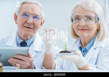 Smiling senior scientists with digital tablet and green plant in soil Stock Photo