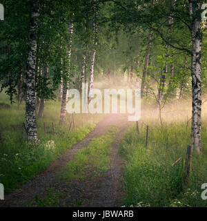 Landscape with idyllic road and fog at summer evening in Finland Stock Photo