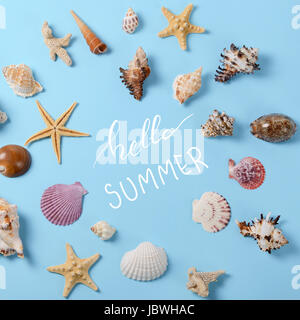Creative layout made of different colorful seashells and greeting card Stock Photo