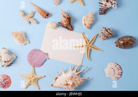 Creative layout made of different colorful seashells and greeting card on a blue background. Minimal style background Stock Photo
