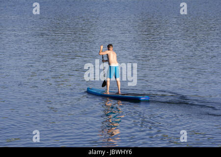 Man on Paddle Board paddling out to lake Stock Photo