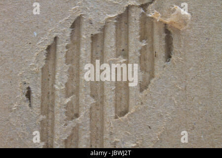 riped vintage paper on cardboard grunge background Stock Photo