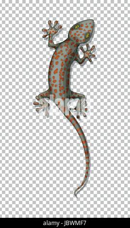 Lizard on the wall illustration Stock Vector