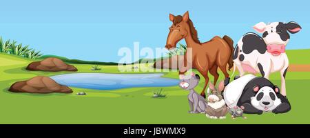 Many animals by the pond illustration Stock Vector