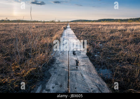 Landscape with sunset at evening in swamp Finland Stock Photo