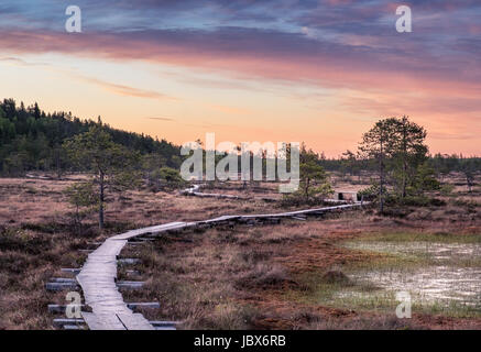 Scenic landscape at summer night in the swamp, National Park, Torronsuo, Finland. Stock Photo