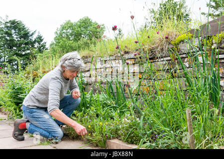 mature lady gardening Stock Photo - Alamy
