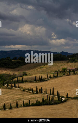 Winding Road- A road lined with cypress trees winds across the landscape of rolling barley fields and hills while storm clouds gather above the scene. Stock Photo