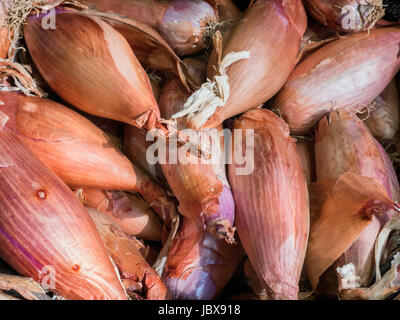 Shallots for sale on a farmers market Stock Photo