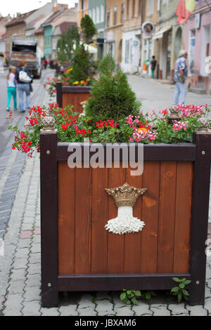 flowerpot on a pavement made from a cobblestone stone blocks in historical city centre and wooden beds of flowers Stock Photo