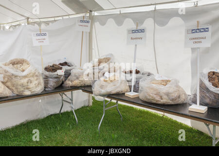 BOUCKVILLE, NY, USA - JUNE 10 2017: Bags of different types of wool on display at the annual Fiber Festival of Central New York. Stock Photo