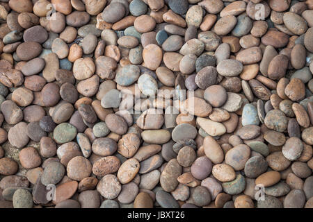 Multi colored of nature rock pebble in the garden Stock Photo