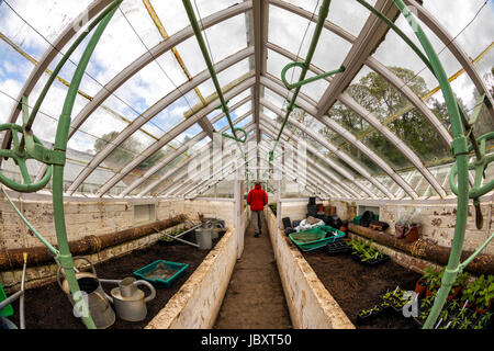 The Greenhouse in the walled garden at Attingham Hall Stock Photo