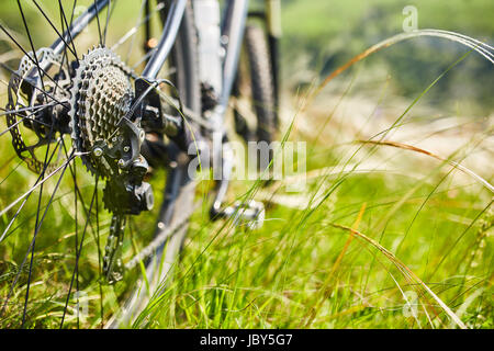 Close-up of the bicycle wheel in the summer green grass in the field. Detail of the mountain bicycle. Horizontal photo. Sportive backgrounds. Concept  Stock Photo