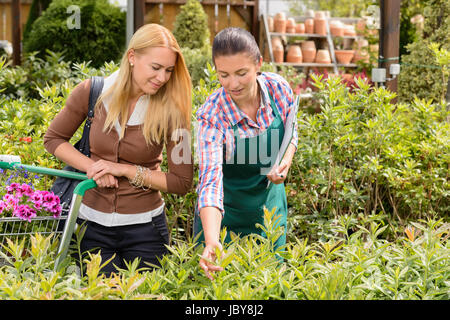 Garden center worker give advice to customer woman about plant Stock Photo