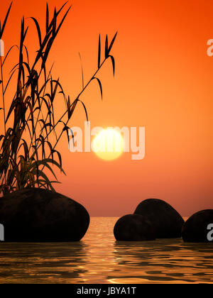 nice ocean sunset image with bamboo and stones Stock Photo