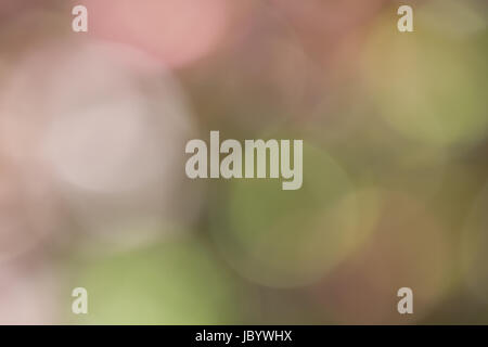 abstract colorful defocused circular facula, abstract for background Stock Photo