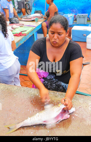 Local woman cutting fish at the market in Puerto Ayora on Santa Cruz Island, Galapagos National Park, Ecuador. Puerto Ayora is the most populous town  Stock Photo