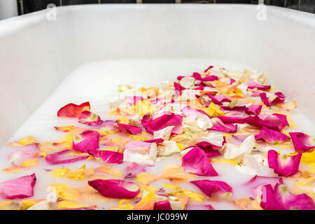 Red rose petals floating in bathtub with milk Stock Photo - Alamy