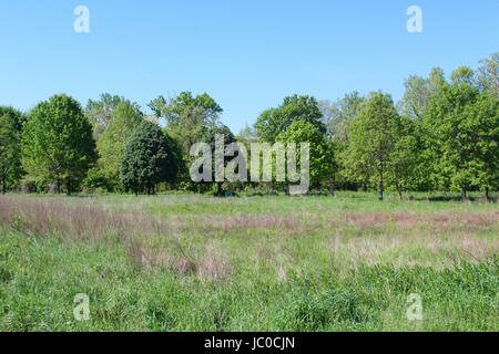 The parks on a overcast and sunny days. Stock Photo